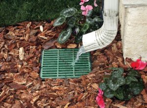 A downspout releases water onto a green ground drain in a mulched garden bed, surrounded by green plants and pink flowers. - Cordes Family Landscape & Snow LLC A downspout releases water onto a green ground drain in a mulched garden bed, surrounded by green plants and pink flowers.